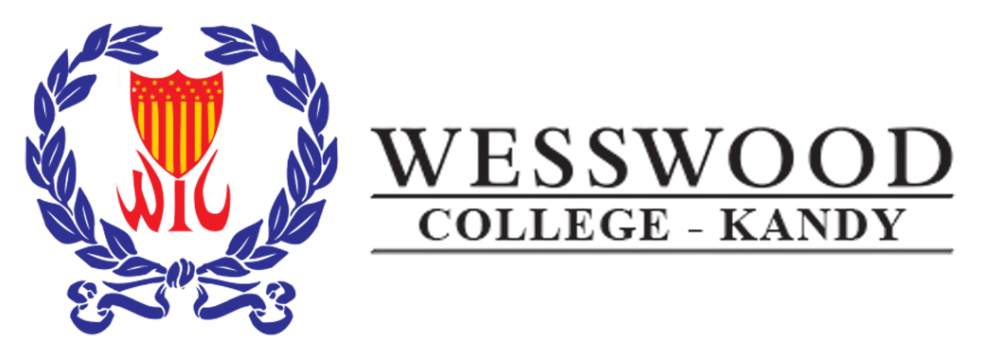 web logo